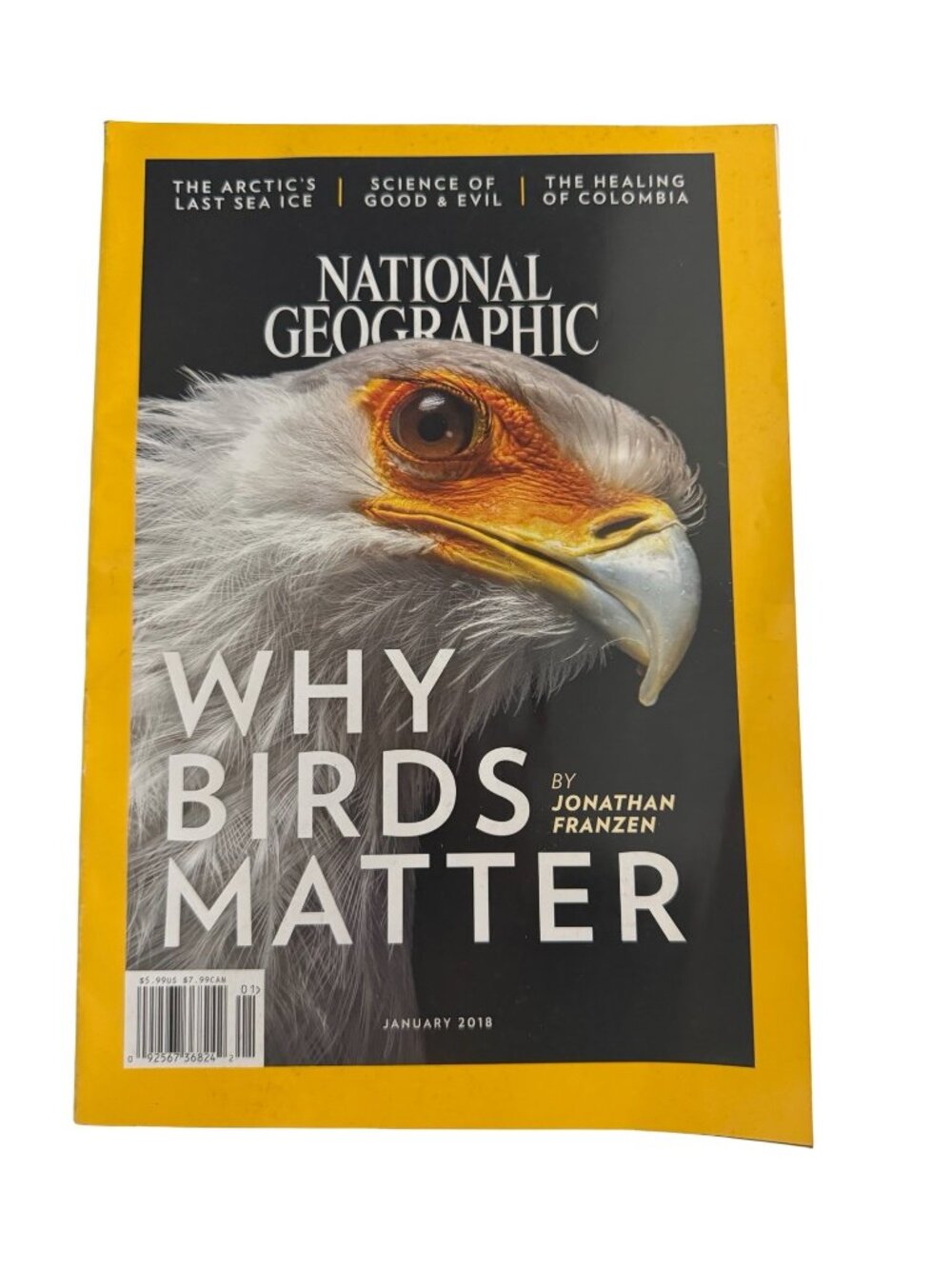 National Geographic Magazine January 2018 Why Birds Matter Jonathan Franzen Wild